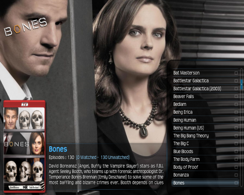 308.xbmc.with.logo.png