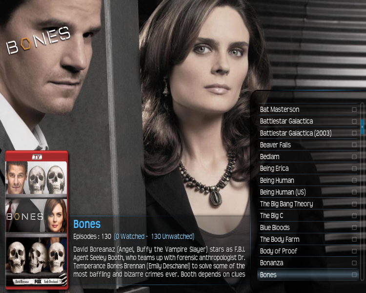 File:308.xbmc.with.logo.png
